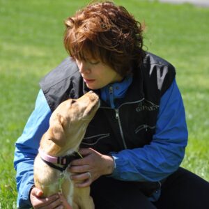 interactive live dog training