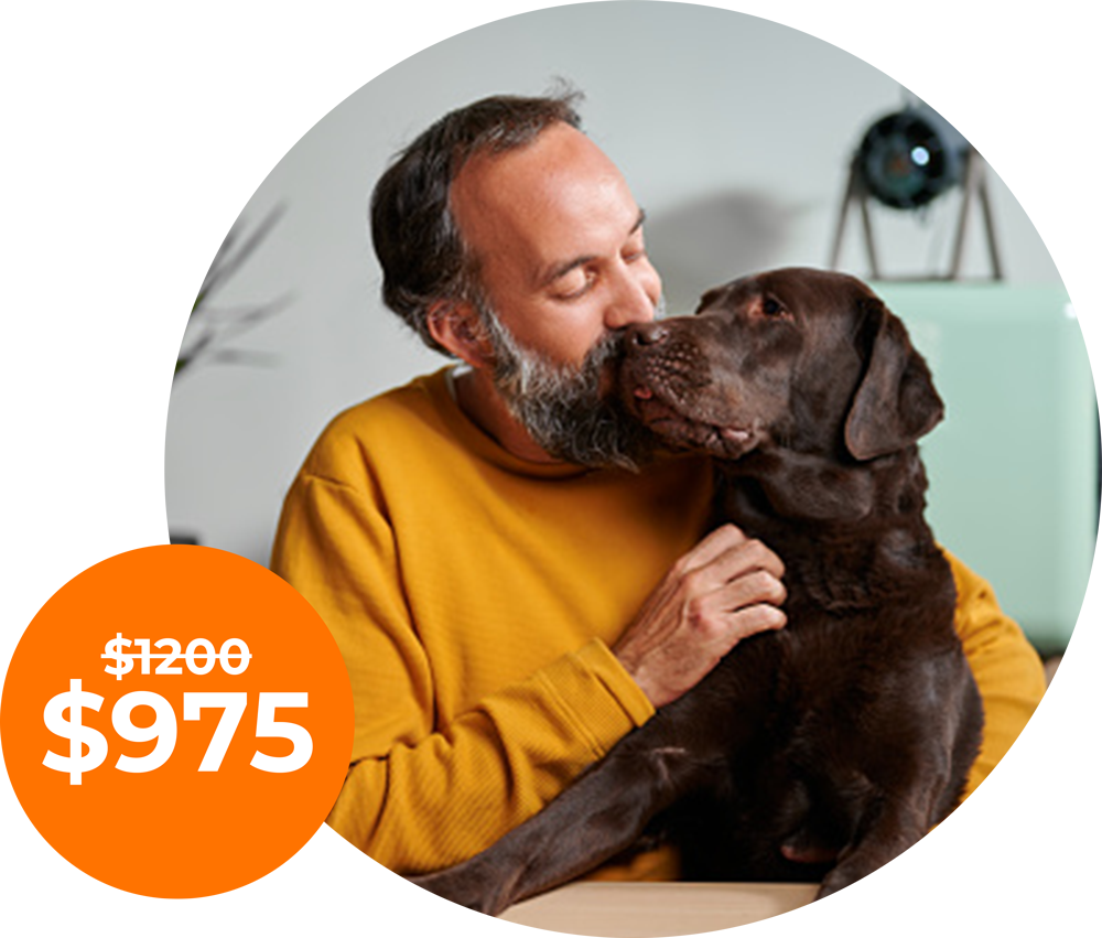 self paced adult dog programs