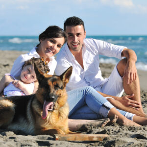 happy young family in white clothing have fun and play with beautiful dog at vacations on beautiful beach