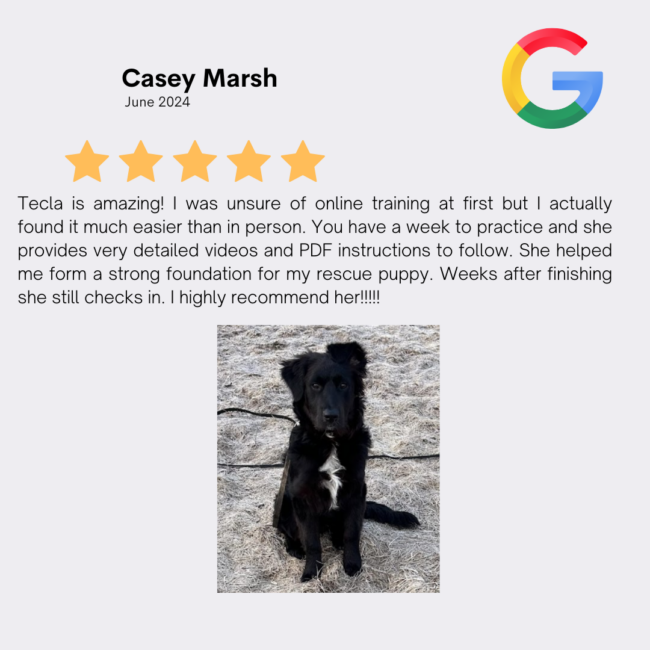 CaseyMarshGoogle CaseyMarshGoogle