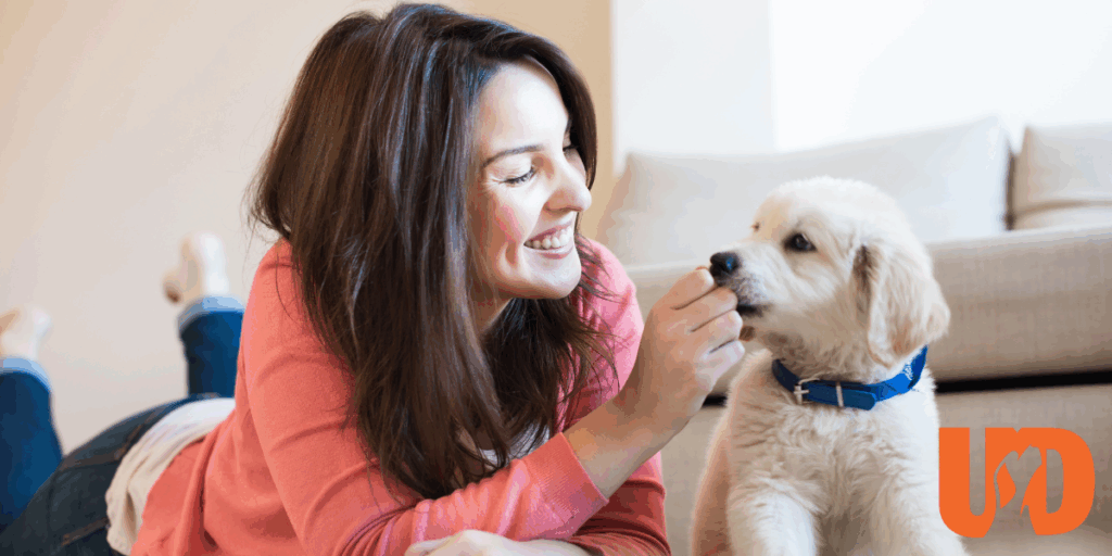 Puppy training classes in Lewes with live instructor support